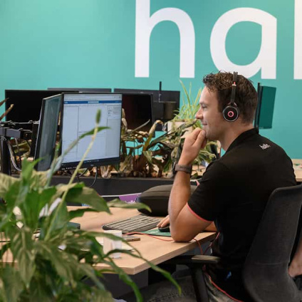 Hallo-650x650